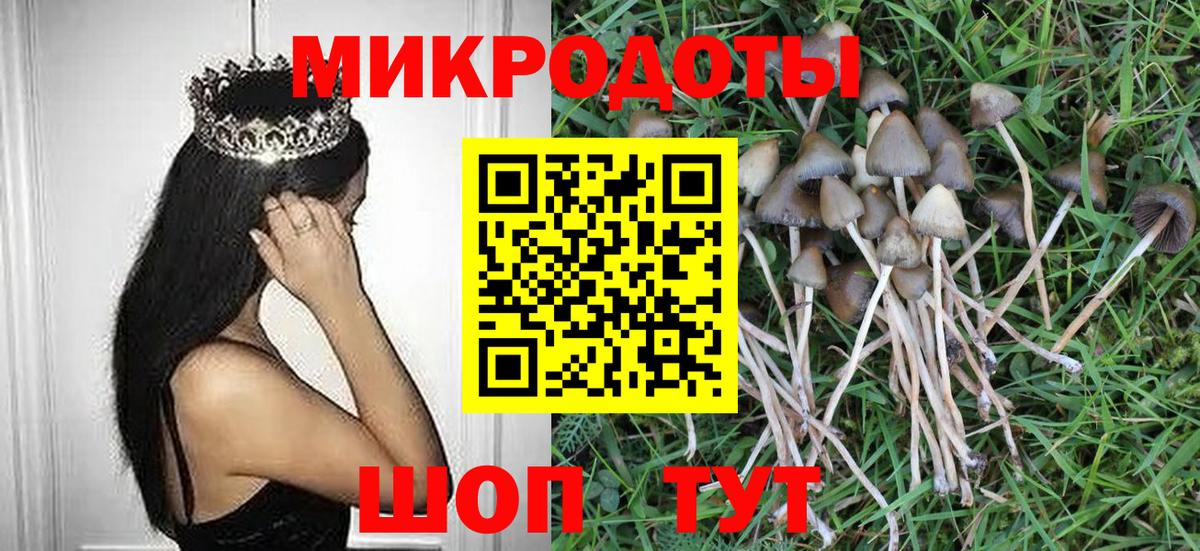 Псилоцибиновые грибы прущие грибы  Вход с VPN  Тверь  Галлюциногенные грибы мухоморы 